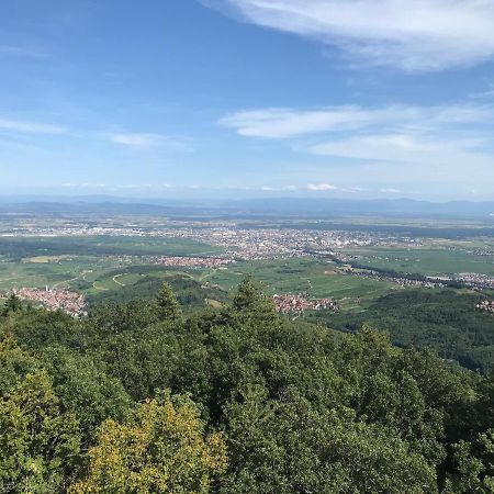 Le Belvédère - GÎTES MARCK Turckheim Esterno foto