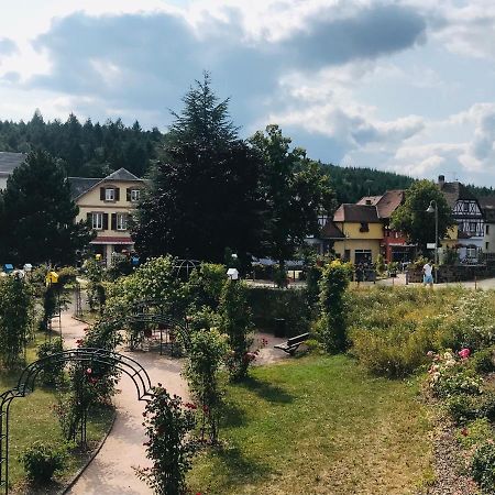 Le Belvédère - GÎTES MARCK Turckheim Esterno foto